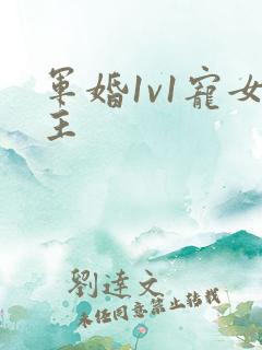 军婚1v1宠女主
