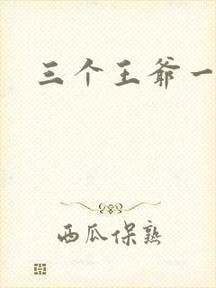 三个王爷一个妃