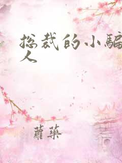 总裁的小骗子情人