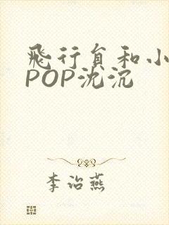 飞行员和小空乘POP沈沉