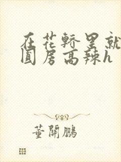 在花轿里就开始圆房高辣h