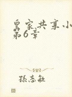 皇家共享小公主第6章