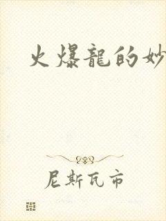 火爆龙的妙管家
