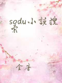 sodu小说搜索