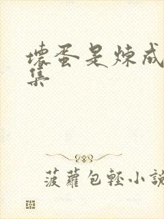 坏蛋是炼成3全集