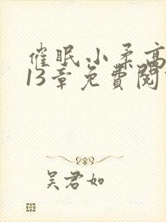 催眠小柔高达第13章免费阅读