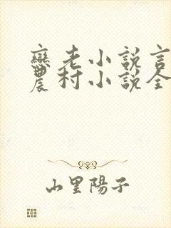 恋老小说言情网农村小说全文阅读