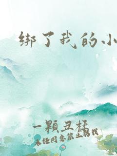 绑了我的小乖乖