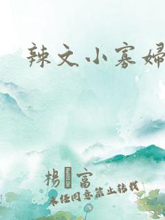 辣文小寡妇