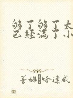 够了够了太多了已经满了小说