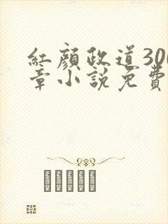 红颜政道300章小说免费阅读