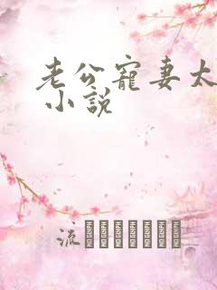 老公宠妻太甜蜜 小说