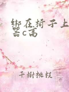 绑在椅子上用机器c高