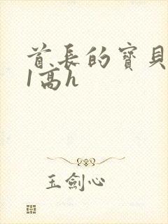 首长的宝贝1v1高h