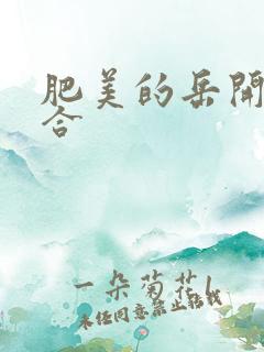 肥美的岳开始配合