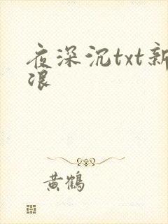 夜深沉txt新浪