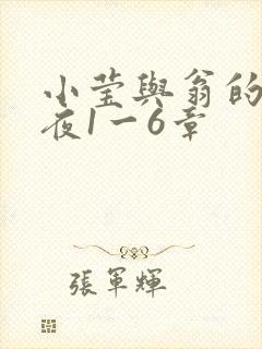 小莹与翁的销魂夜1一6章