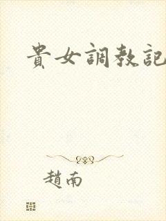 贵女调教记