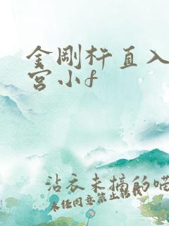 金刚杵直入莲花宫小f