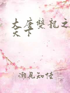 大唐双龙之无敌天下