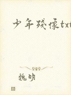 少年残像txt