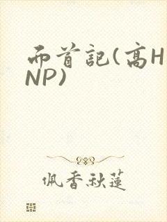 面首记(高H NP)