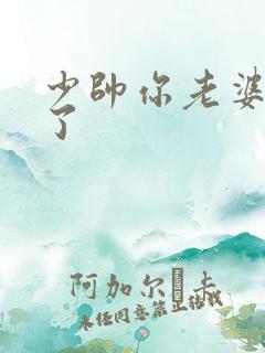 少帅你老婆又跑了