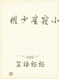 权少蜜宠小娇妻