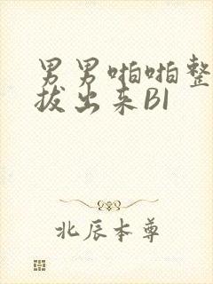 男男啪啪整夜不拔出来BI