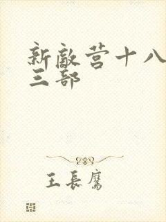 新敌营十八年第三部