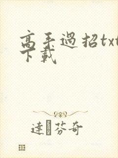 高手过招txt下载