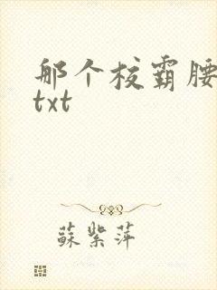 那个校霸腰好软txt