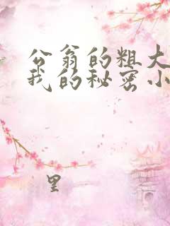 公翁的粗大放进我的秘密小说