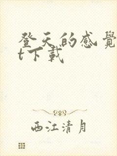 登天的感觉txt下载