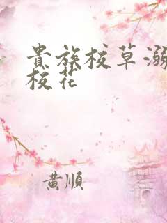 贵族校草溺爱拽校花