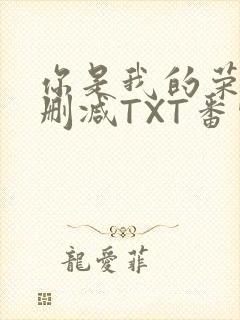 你是我的荣耀未删减TXT番外