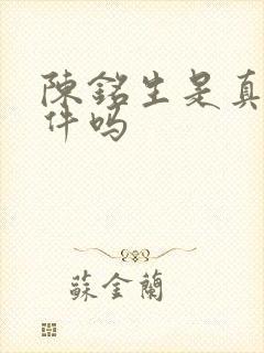 陈铭生是真实事件吗