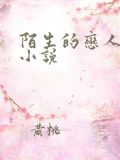 陌生的恋人原著小说