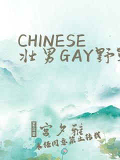 CHINESE壮男GAY野战强迫TUBE