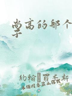 尚高的那个臭小子