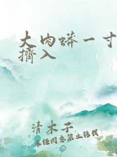 大肉蟒一寸一寸挤入