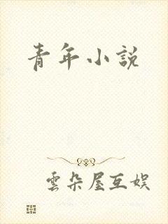 青年小说