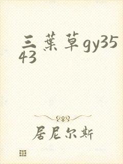 三叶草gy3543