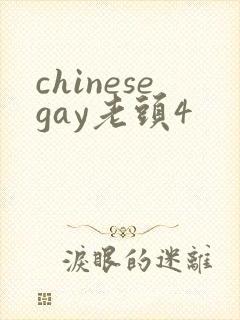 chinesegay老头4