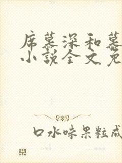 席慕深和慕清泠小说全文免费阅读