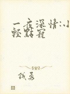一夜深情:小叔轻点宠