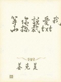 等你说爱我之冰山总裁txt