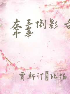 左手倒影 右手年华