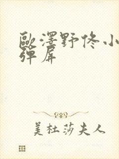 欧泽野佟小曼无弹屏