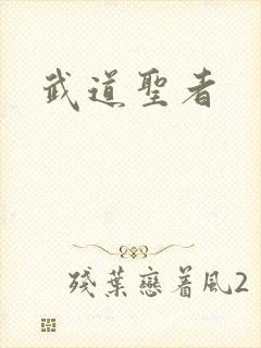 武道圣者